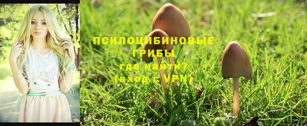 прущая мука Волоколамск
