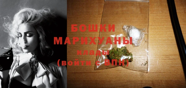 молекула духа Володарск
