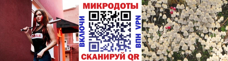 Псилоцибиновые грибы мицелий  Пятигорск 